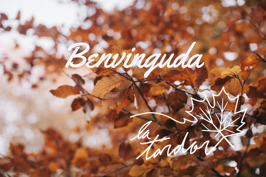 Bienvenida a Residencia La Tardor: Guía para Profesionales